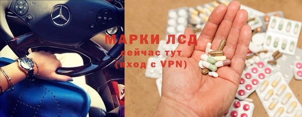 стаф Алексин