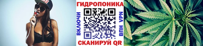 Каннабис марихуана  Цоци-Юрт 